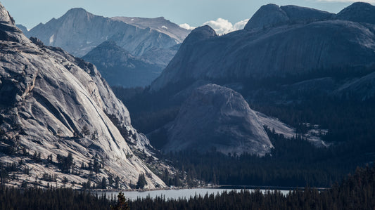 National Park Prints ( 12 x 24 )